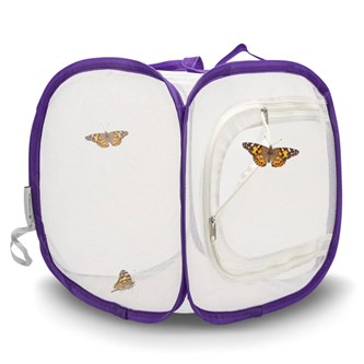 Startkit sommerfugle – lille bur og bøtte med larver