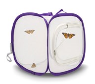 Startkit sommerfugle – lille bur og bøtte med larver