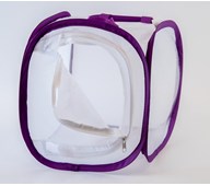 Sommerfuglebur lille