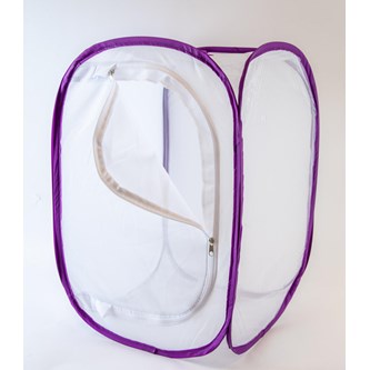 Sommerfuglebur stort