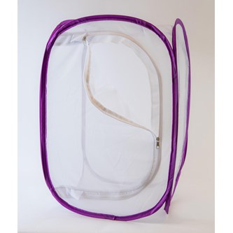 Sommerfuglebur stort