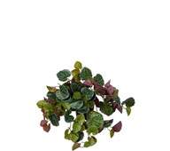 Senecio hængende kunstig 23 cm