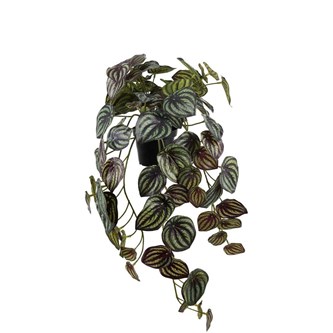 Peperomia hængende kunstig 45 cm