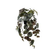 Peperomia hængende kunstig 45 cm