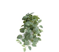 Fittonia hængende kunstig 50 cm