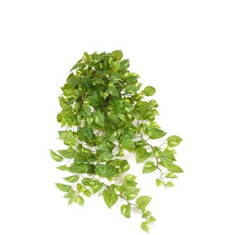 Guldranke hængende kunstig 100 cm