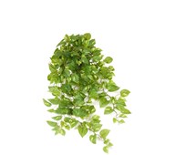 Guldranke hængende kunstig 100 cm