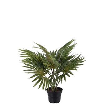 Palme kunstig 35 cm