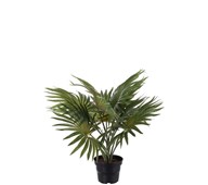 Palme kunstig 35 cm