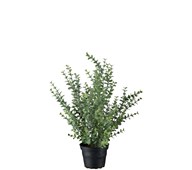 Eucalyptus kunstig 40 cm