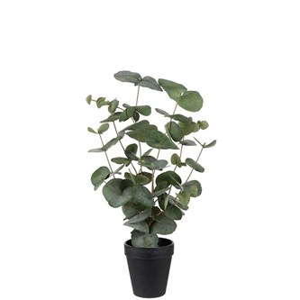 Eucalyptus kunstig 55 cm