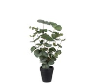 Eucalyptus kunstig 55 cm