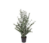 Eucalyptus kunstig 110 cm