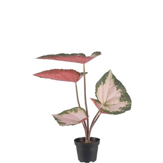 Rexbegonia kunstig 35 cm