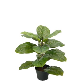 Violfigen kunstig 40 cm