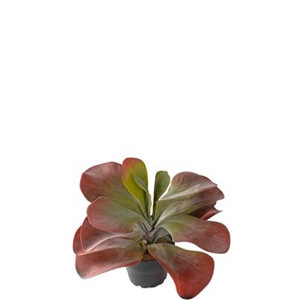 Kalanchoe kunstig 25 cm