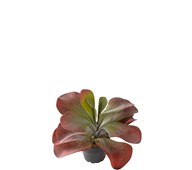 Kalanchoe kunstig 25 cm