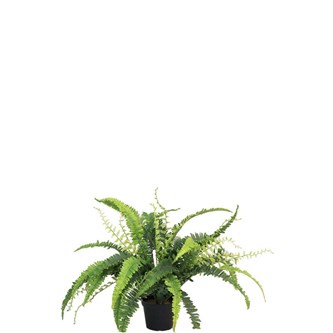 Bregne kunstig 41 cm