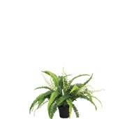 Bregne kunstig 41 cm