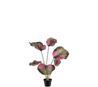 Calathea kunstig 55 cm