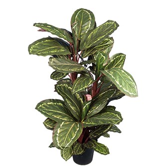 Maranta kunstig 104 cm
