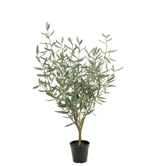 Oliventræ kunstig 100 cm