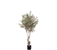 Oliventræ kunstig 150 cm