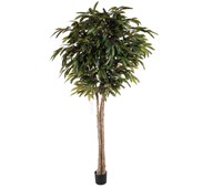Longifolia kunstig 260 cm