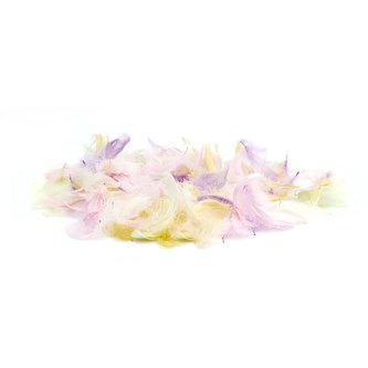 Kalkunfjer i pastelfarver