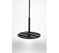 SWNX original fodgynge sort