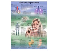Plakat - Nikotin