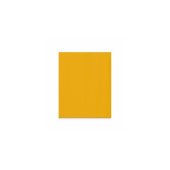 Mood glastavle væg 100x125 cm