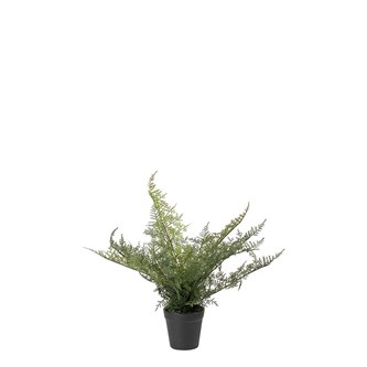 Plumosus kunstig 30 cm