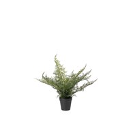 Plumosus kunstig 30 cm