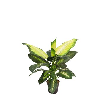 Prikblad kunstig 60 cm