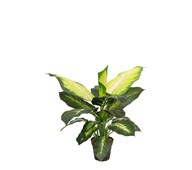 Prikblad kunstig 60 cm