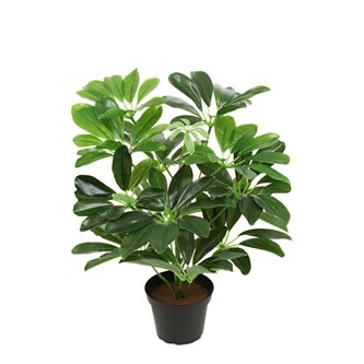 Schefflera compacta kunstig 40 cm