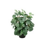 Fittonia kunstig 34 cm