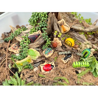 Sensoriske insekter i sten 12-pak