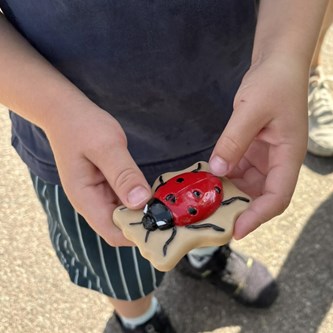 Sensoriske insekter i sten 12-pak