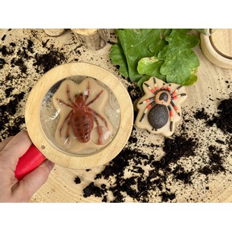 Sensoriske insekter i sten 12-pak