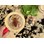 Sensoriske insekter i sten 12-pak