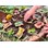 Sensoriske insekter i sten 12-pak
