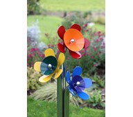Harmony Flowers mol