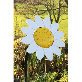 Blomstertromme Marguerit