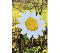 Blomstertromme Marguerit