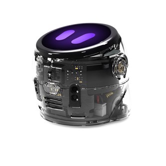 Ozobot Ari Entry Kit