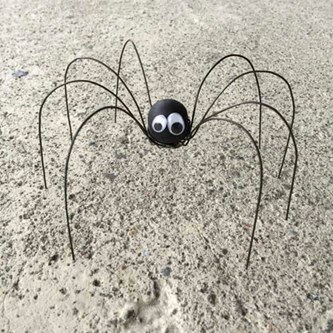 Langbenet edderkop