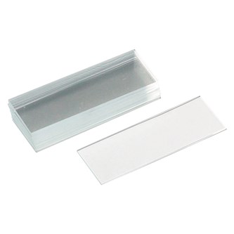 Objektglas