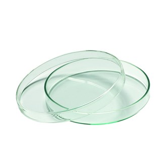 Petriskål af glas Ø10 cm